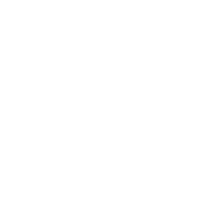 Director — Prolounge hat